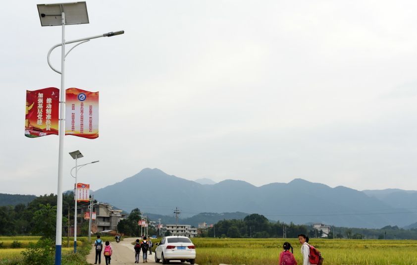 免费给农村架路灯，专家：为啥还挑三拣四？农民却直言：不如不架