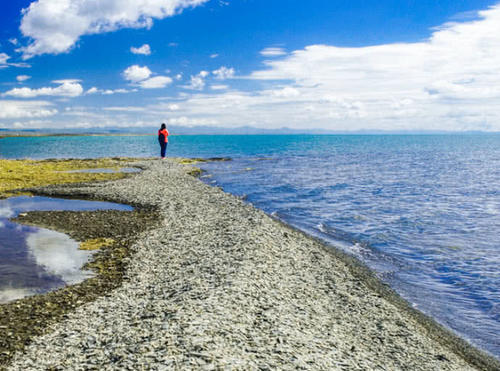 我国最“发达”的火车站，想去哪就去哪，地理位置太有优势！