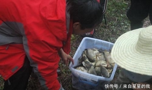 「天气」这里的鱼不仅多, 而且傻, 钓鱼拉得手抽筋
