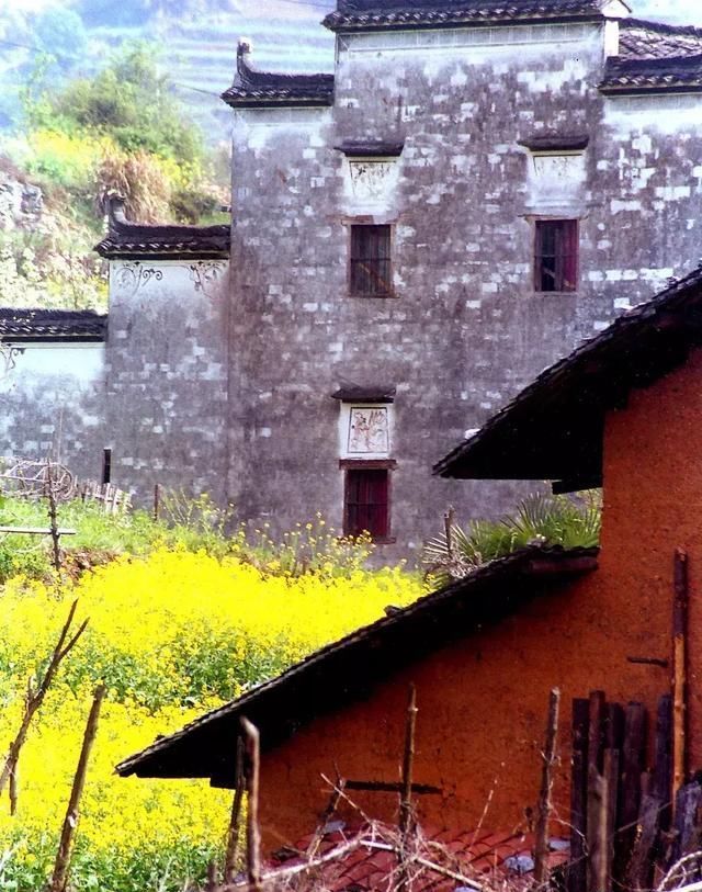 这几个地方景色太美还免费，网友大呼：辞职也要去看看