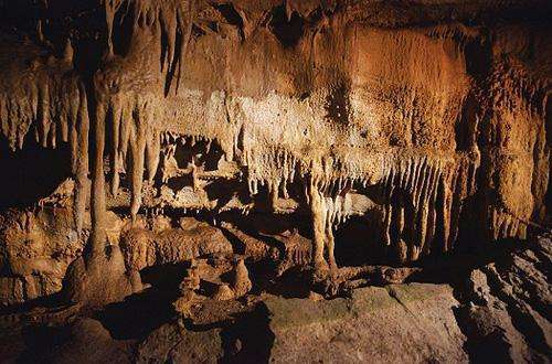 世界上最深的洞穴,六千年没探明深度,生物犹如来自外星