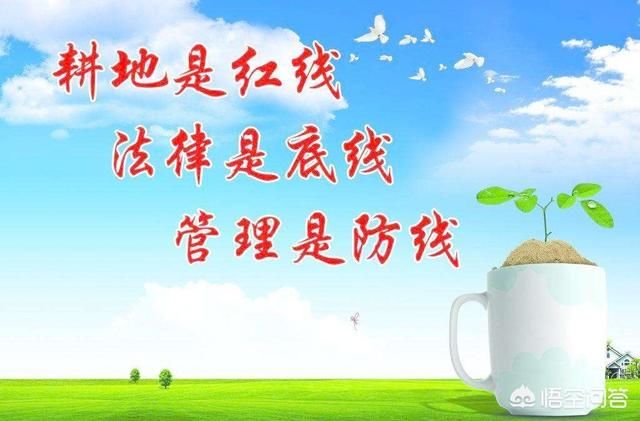 本轮机构改革，乡镇国土资源管理所怎么改？