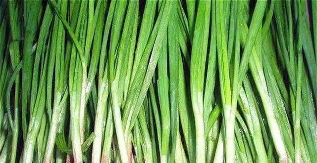  「自然环境中生长」买韭菜时，白根和紫根韭菜有啥区别？老菜农：挑错了，味道差太多