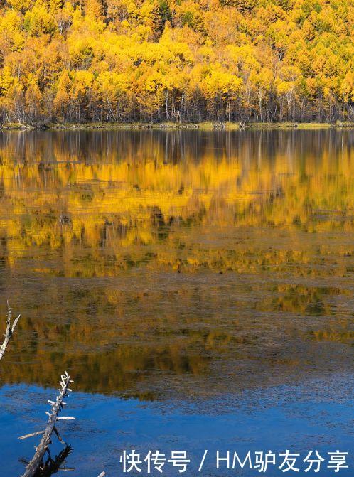 中国最美秋色：比喀纳斯清新，比稻城更童话！正适合秋天