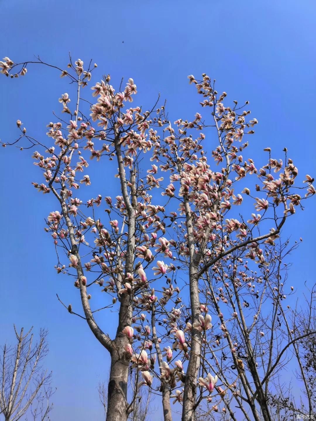 如何做好安全工作