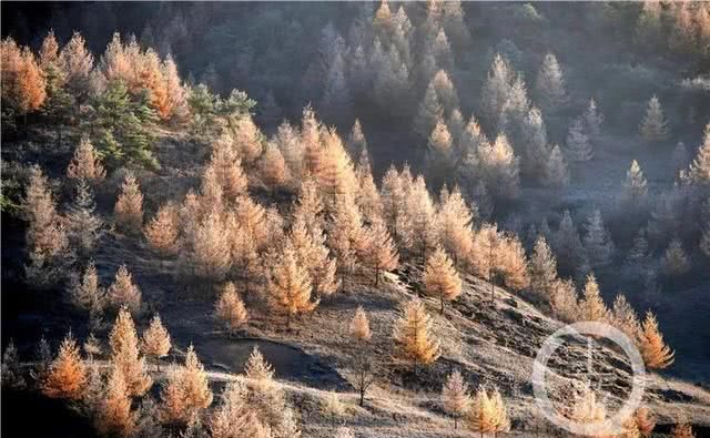 恭喜！重庆这个地方又被央视“点名”了