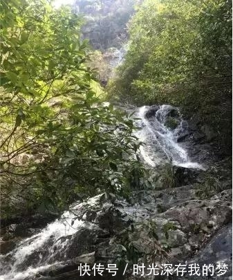 丽水有个隐藏在大山深处的世外桃源,带家人去走走吧