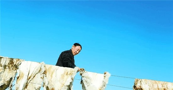 外蒙古与内蒙古牧民冬季生活的对比, 差距太大