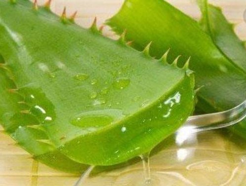  『自制』再不好养的花，只需用这3种“自制水”，隔7天浇一点，照样爆盆！