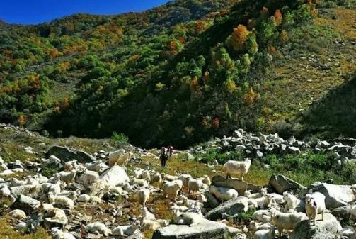 藏在易县紫荆关的这处人间仙境，开车2小时即达！