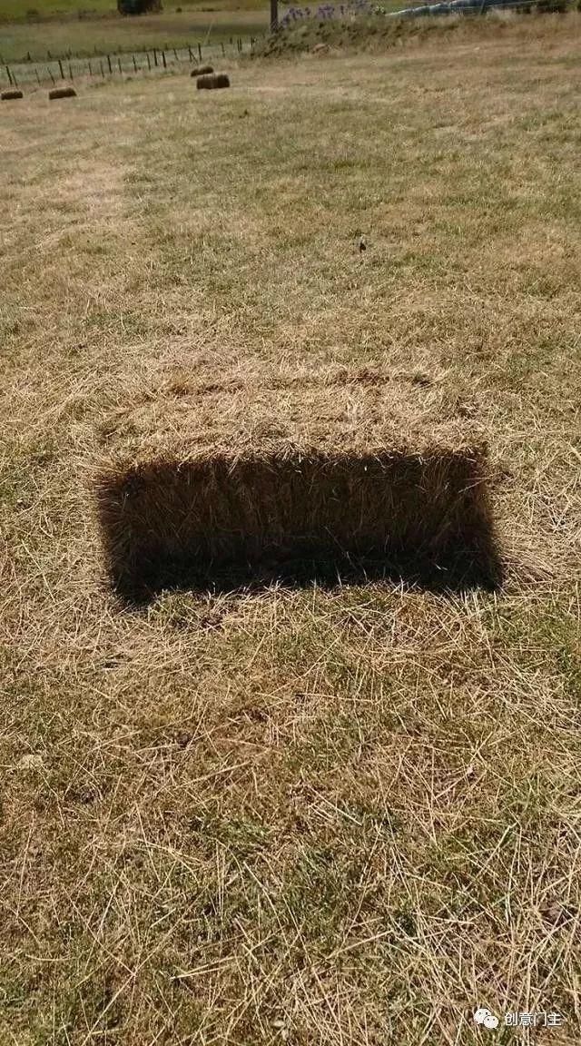 30张令人产生错觉的照片，忍不住多看几遍！