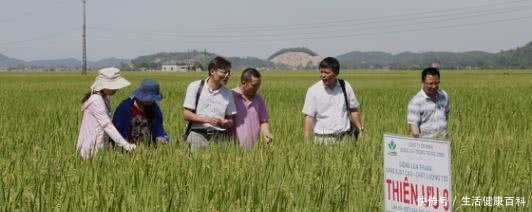  「领土」越南人口近亿, 领土面积只有中国的3右, 为何还有大米出