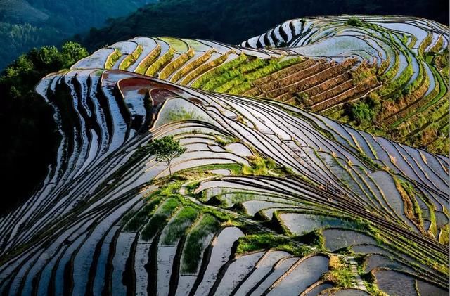 广西除了桂林，这些地方一定要去，美爆了！