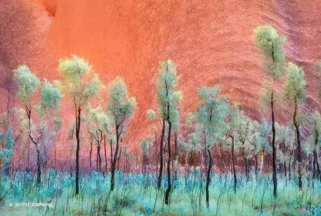 美图50幅绝美大片,用光影展现世界之美!