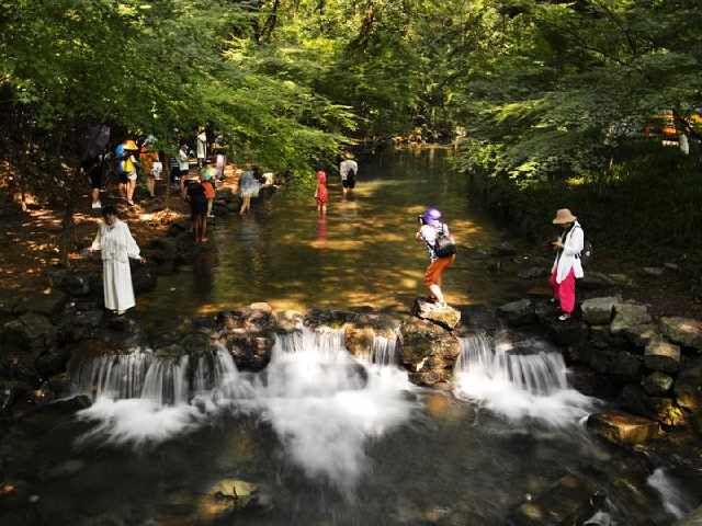 拍美照嬉水纳凉，九溪这两天特别好看，快去打卡