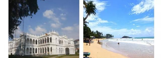 上海出发、无需中转，客运航班能直飞这么多国外目的地！