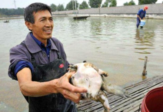  「快速」特事特办！郑州车管所为抗疫车辆开辟绿色通道快速办理转移登记手续