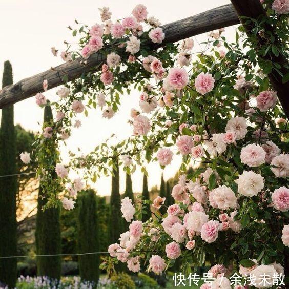 退休后，到乡下建个这样的小院，悠然到老！