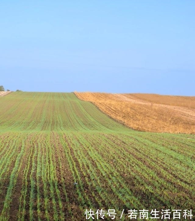  「收钱」土地确权过程中，农村承包地变多了，然而村里还是要找