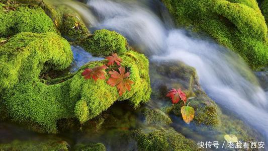 牛背梁 秋色迷人 你来与不来 它都是这么五彩斑斓