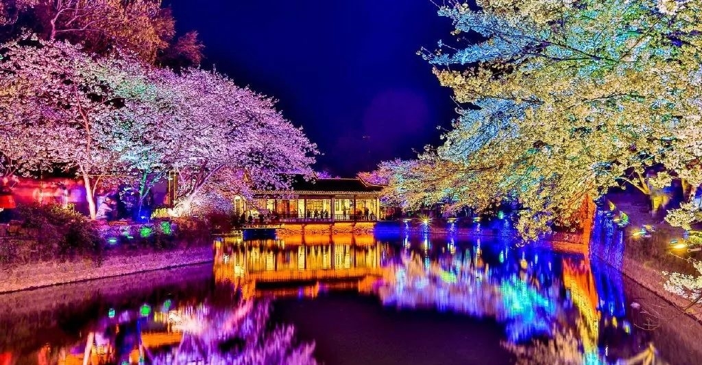 到无锡鼋头渚参加樱花节：让世界三大赏樱胜地之一给你个明媚春天