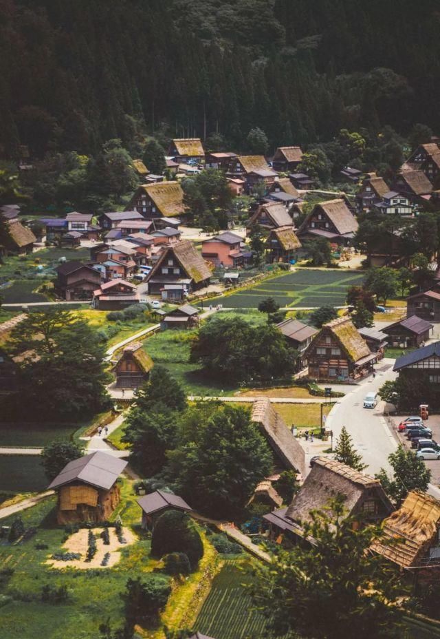 三分文艺,七分清新的国度,走进真实的霓虹国