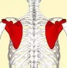 王菲和袁泉气质出众的秘诀：花几十万整容不如先解决这些？！