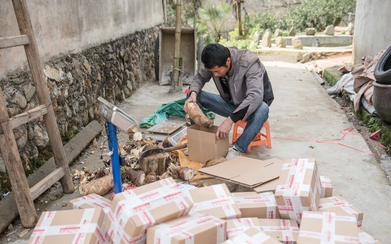 36岁农民解散IT公司，回农村干起了这个，半年就赚到了15万