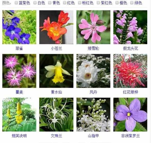  【品种】400种 · 观花植物品种大全，值得收藏