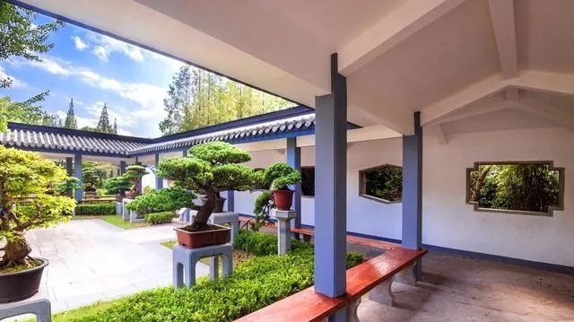 国内最大的专类盆景园，江南园林海派风格美不胜收
