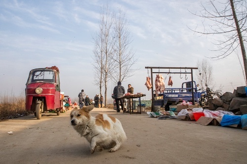  见到：乡村 “露水集”，城里人难见到，集市很早很小，方便群众