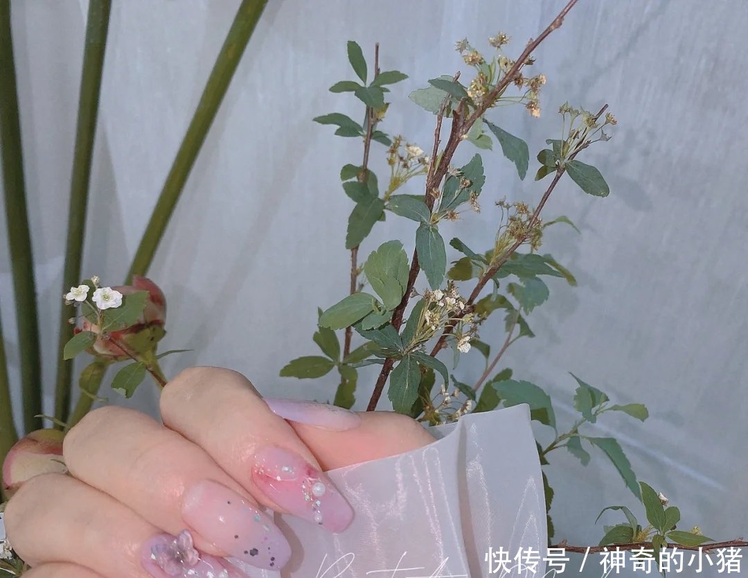 【安利】抓住春天的尾巴,赶紧来安利波春夏美甲!