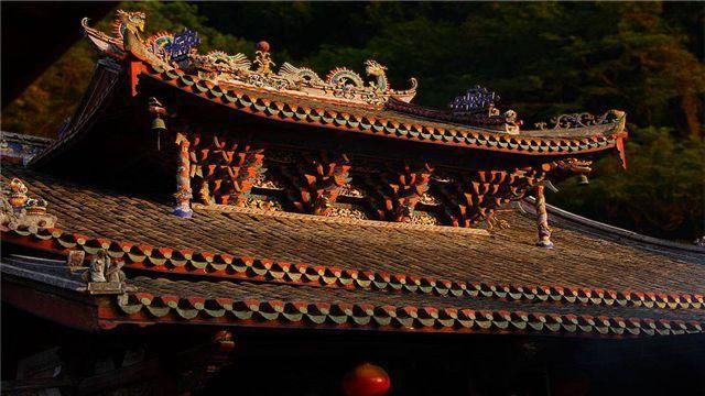 中国这座寺庙有灵气?两棵树，一棵已死但不腐不烂，一棵枝繁叶茂