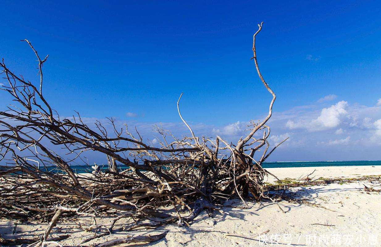  我国：直击我国独一无二不堵车的地级市，位于领土最极端的地方