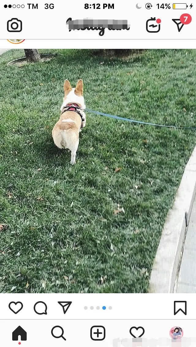 沈月穿许嵩会服