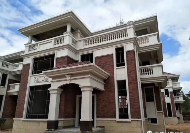  [有钱]7款农村别墅实拍, 第4款像宫殿, 有钱真的可以为所欲为