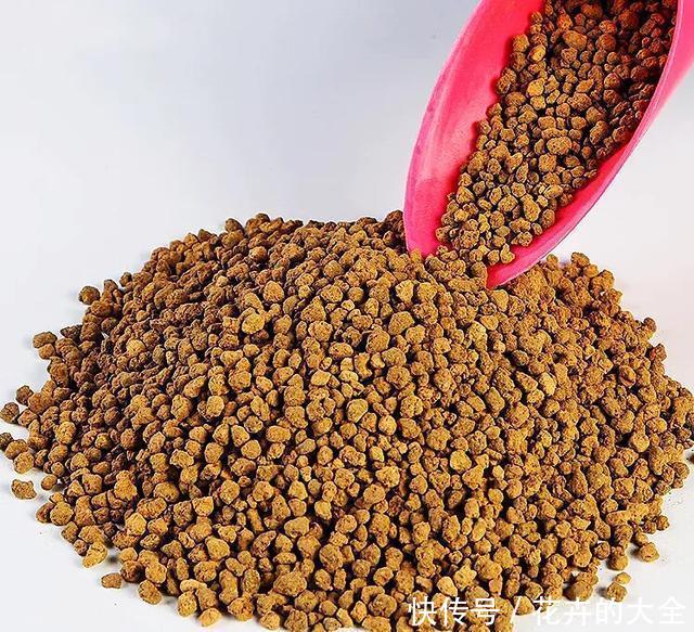  【多肉的时】多肉“铺面”的那些事儿