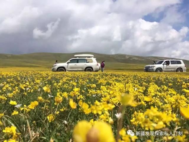 去了北疆才知道，中国有多大；去了南疆才知道，中国有多美