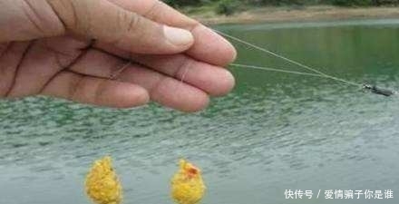 浅水:浅水钓鲫鱼,为啥容易跑鱼?因为这5个地方你搞错了
