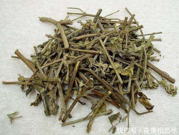 这种长了“老虎须”的野草，人称“肾宝”，最便宜的也要150一斤