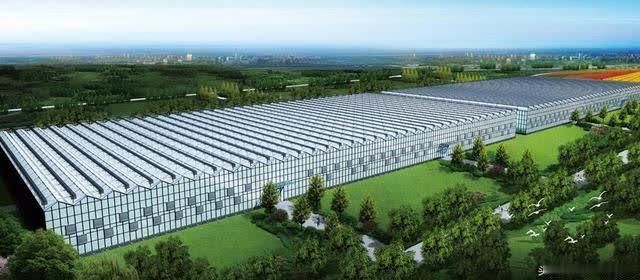 保定北部将建造一座大型生态园 以后周末又多