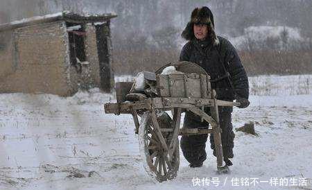  南方|南方温暖富裕，北方严寒，为什么山东人要闯关东而不是南下