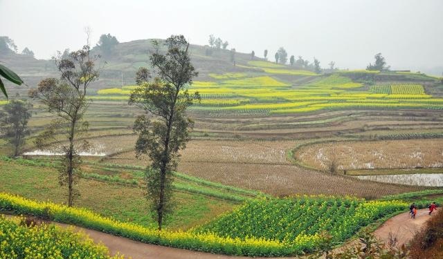 精美明代石刻隐于自贡山野，自然人为双重破坏，亟待保护命堪忧