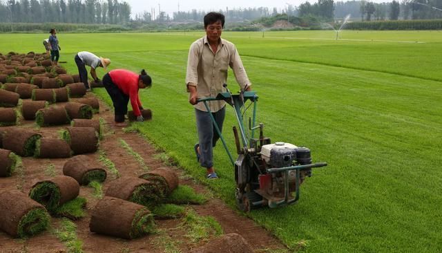 农村有哪些比较好的致富门路呢？几个适合在农村的创业项目！