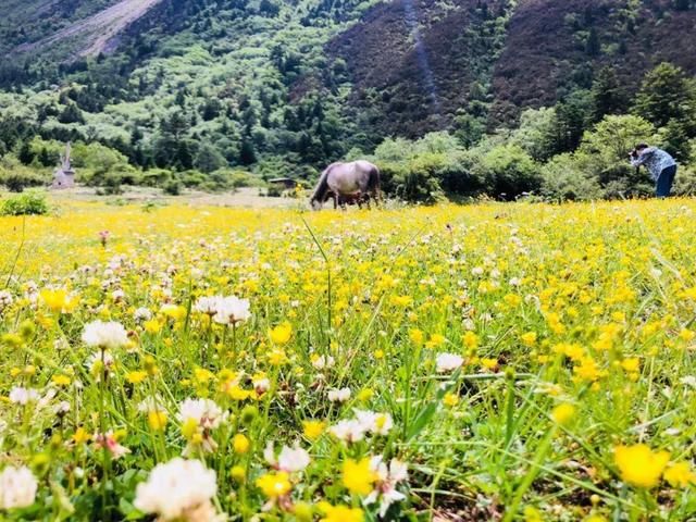 全国最奇葩的10大免门票景区,第一个搞笑,最后