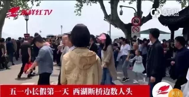 你堵哪了?高速成停车场,隧道口寸步难行!有人哀嚎:尿不湿忘带了