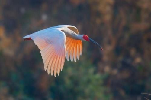  [国家]中国的中心到底在哪儿？经过国家地理测量，竟然在这个村