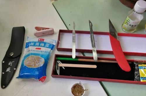  「萝卜」蟹爪兰插萝卜上，也能嫁接？这波操作还是头一回见！