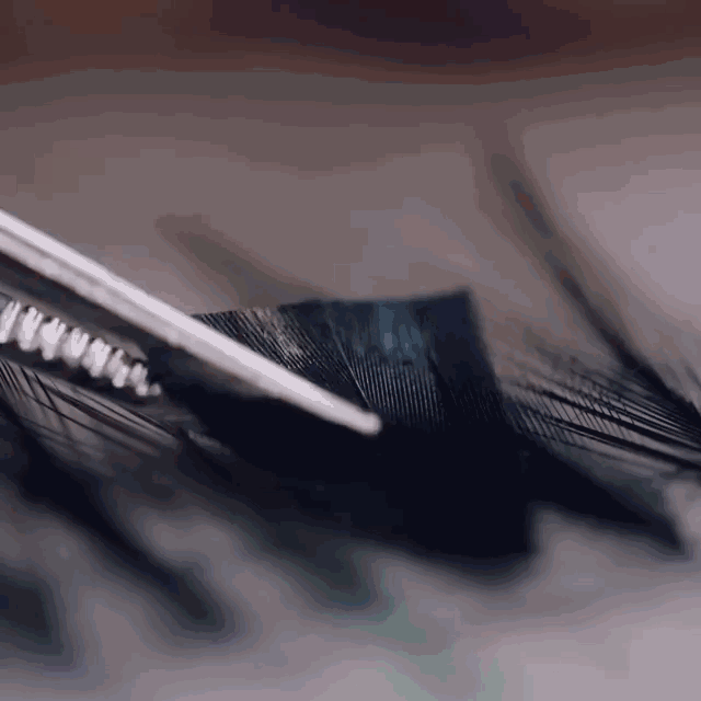 塞纳河倒映的Chanel高定,流淌的是左岸的旧时光