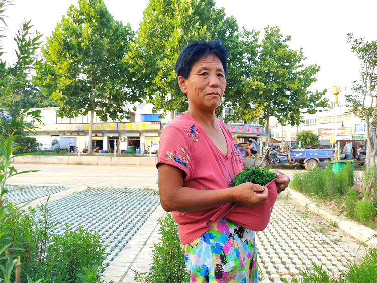 农村有种植物，既可以观赏，又是野菜，俗称“摘不败”